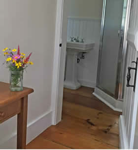 Wide plank wood floors, beige walls, fresh yellow and pink flowers on a wood table, view of bathroom in background