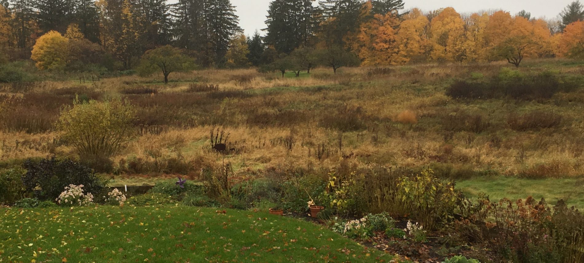 Autumn view of perennial garden and meadow in Vermont